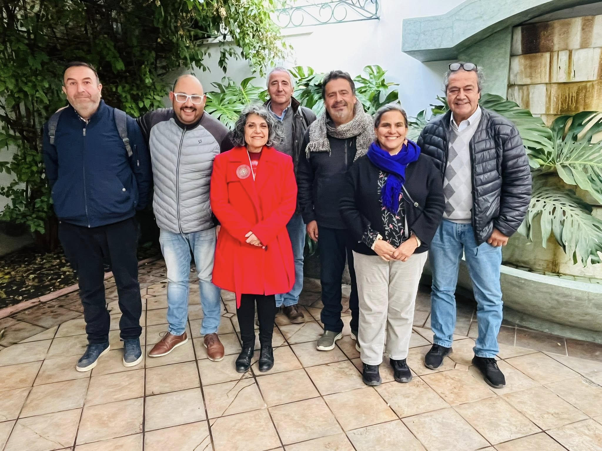 consejo de las artes coquimbo
