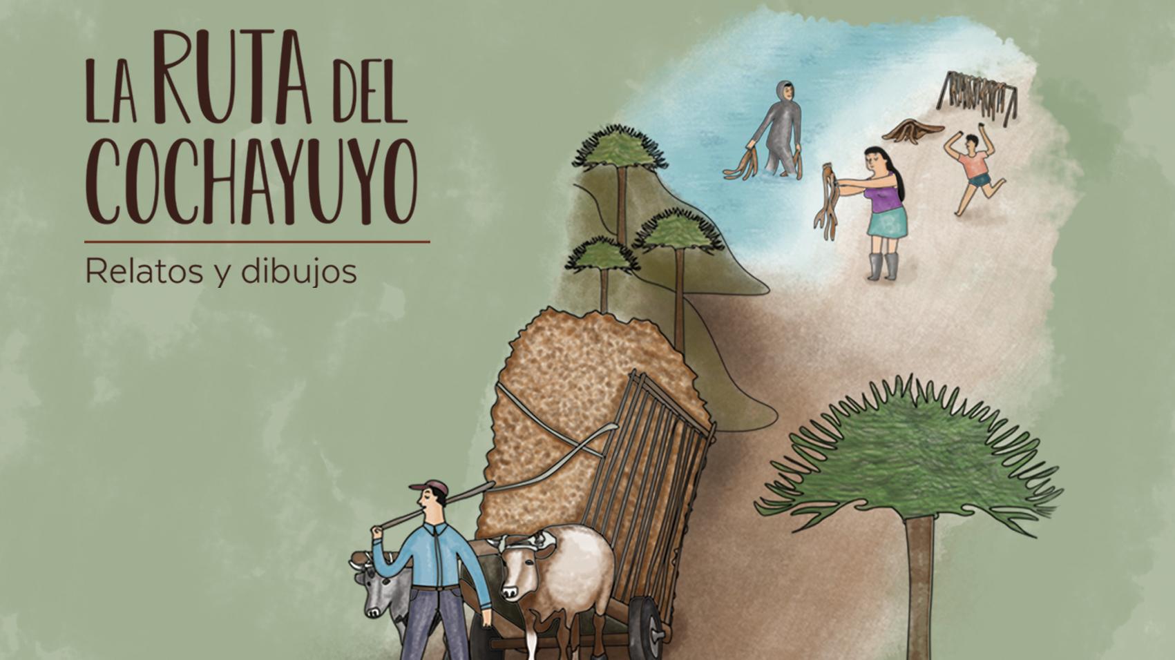 [Descarga] Fue presentado el libro de relatos y dibujos "La Ruta del Cochayuyo"