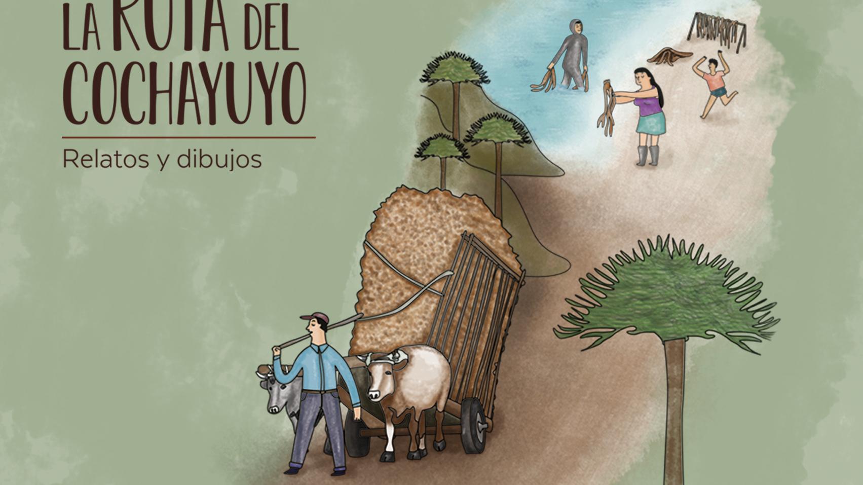 La Ruta del Cochayuyo: Relatos y Dibujos