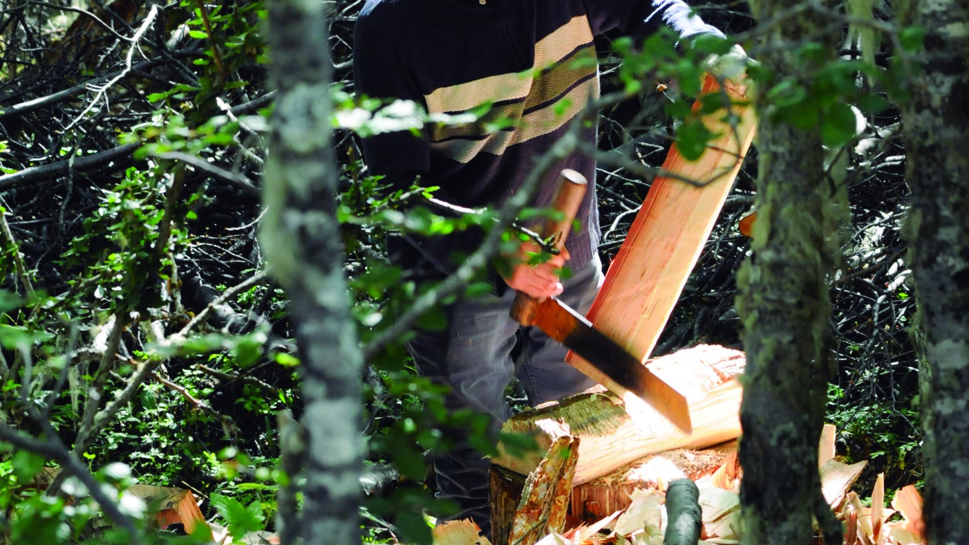 Proceso de creación de Tejuelas por Crispín Castillo Castillo THV, Bosque de Lengas, Villa Ortega, 12.2.24. Fotógrafa Susana Villar