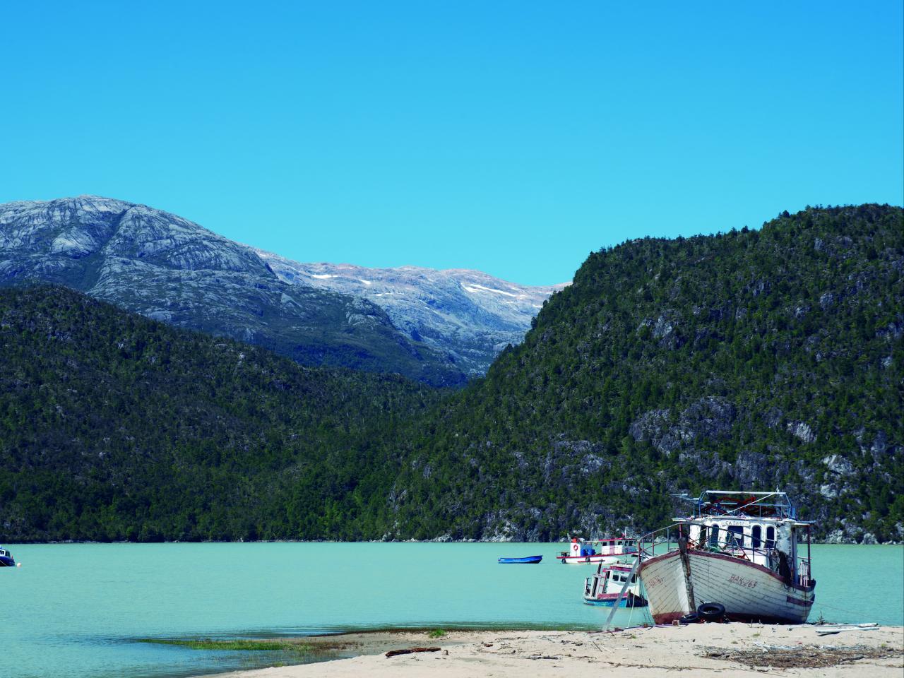 Paisaje Caleta Tortel, Coyhaique, 9.02.24, Fotógrafa Susana Villar