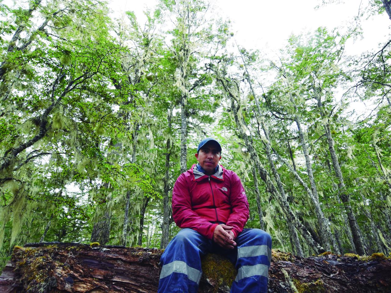 Retrato Marcial Castillo Levicoy, THV. Bosque de Lengas Puerto Guadal. 11.2.24. Fotógrafa Susana Villar