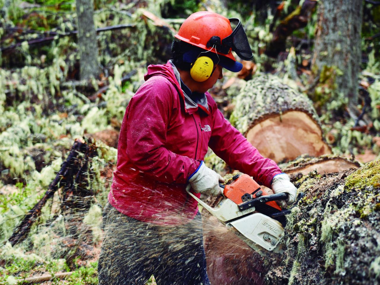 Proceso de creación de Tejuelas por Marcial Castillo Levicoy, THV, Bosque de Lengas Puerto Guadal, 11.2.24. Fotógrafa Susana Villar