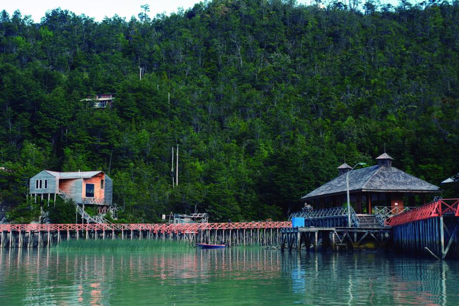 Paisaje Caleta Tortel, Coyhaique, 9.02.24, Fotógrafa Susana Villar