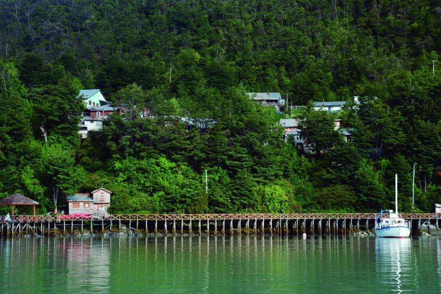 Paisaje Caleta Tortel, Coyhaique, 9.02.24, Fotógrafa Susana Villar