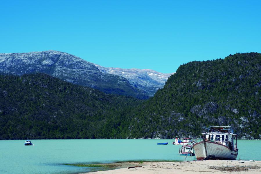 Paisaje Caleta Tortel, Coyhaique, 9.02.24, Fotógrafa Susana Villar
