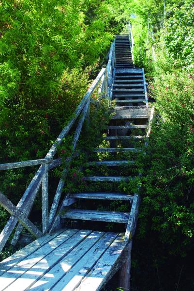 Paisaje Caleta Tortel, Coyhaique, 9.02.24, Fotógrafa Susana Villar