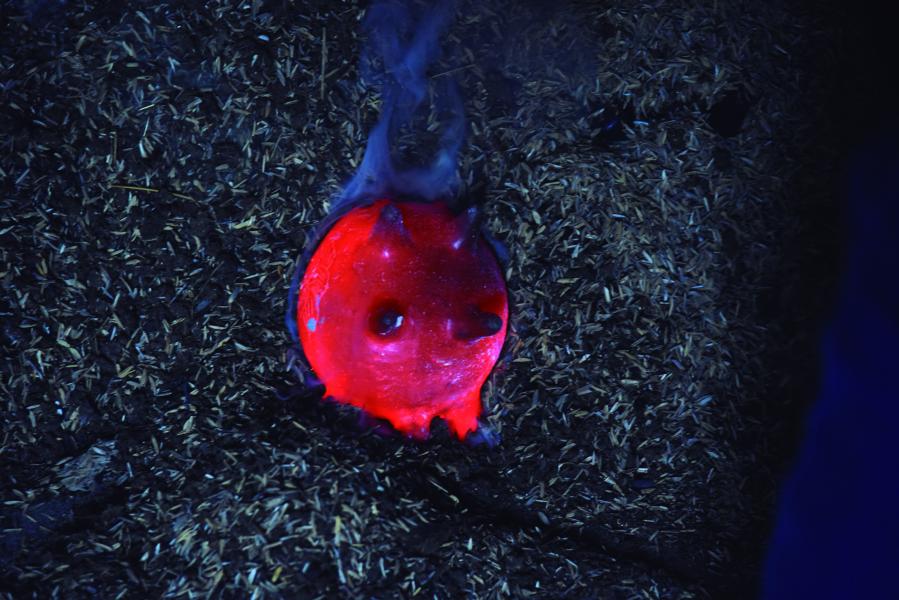 Proceso de quema de las obras, el Chanchito de Quinchamalí, 1.2.24. Fotógrafa Susana Villar