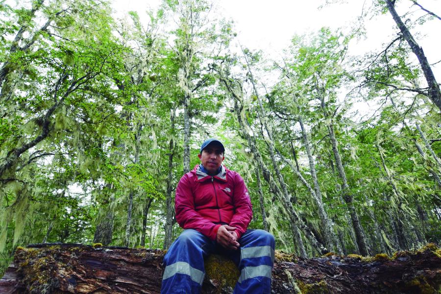 Retrato Marcial Castillo Levicoy, THV. Bosque de Lengas Puerto Guadal. 11.2.24. Fotógrafa Susana Villar