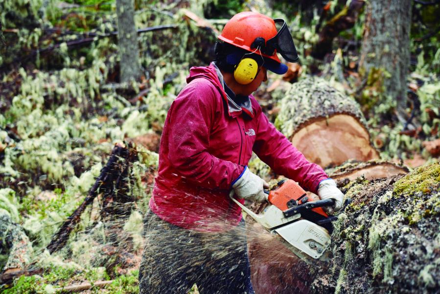 Proceso de creación de Tejuelas por Marcial Castillo Levicoy, THV, Bosque de Lengas Puerto Guadal, 11.2.24. Fotógrafa Susana Villar