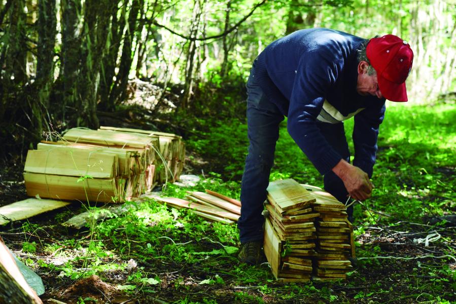 Proceso de creación de Tejuelas por Crispín Castillo Castillo, THV, Bosque de Lengas Villa Ortega. 12.2.24. Fotógrafa Susana Villar