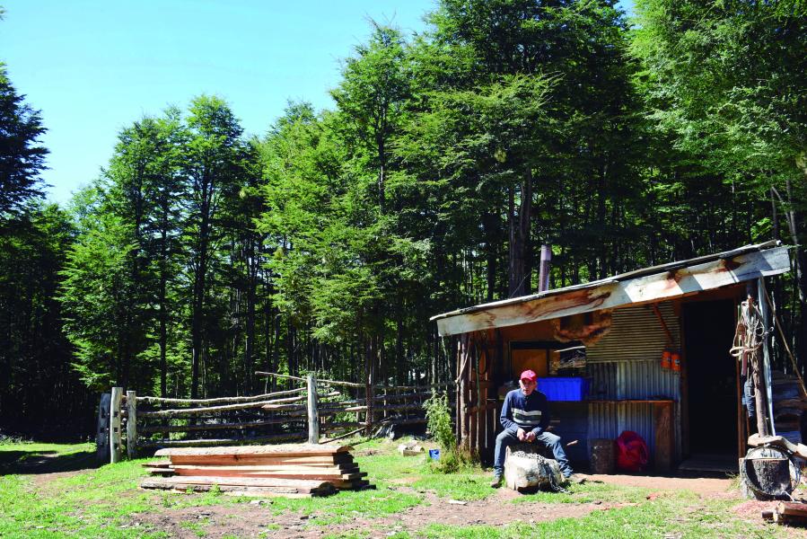 Retrato de Crispín Castillo Castillo, THV, Refugio Bosque de Lengas, Villa Ortega.12.2.24. Fotógrafa Susana Villar